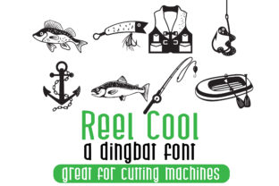 Reel Cool Typeface: A Playful Font for Creative Branding